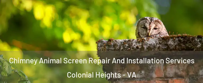  Chimney Animal Screen Repair And Installation Services Colonial Heights - VA
