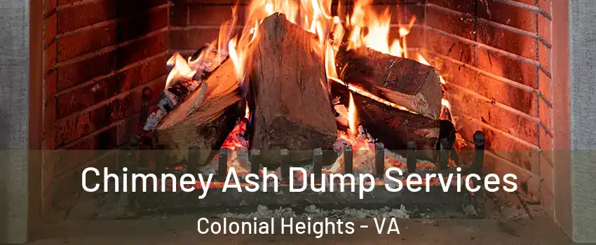  Chimney Ash Dump Services Colonial Heights - VA