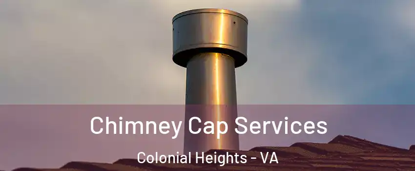 Chimney Cap Services Colonial Heights - VA