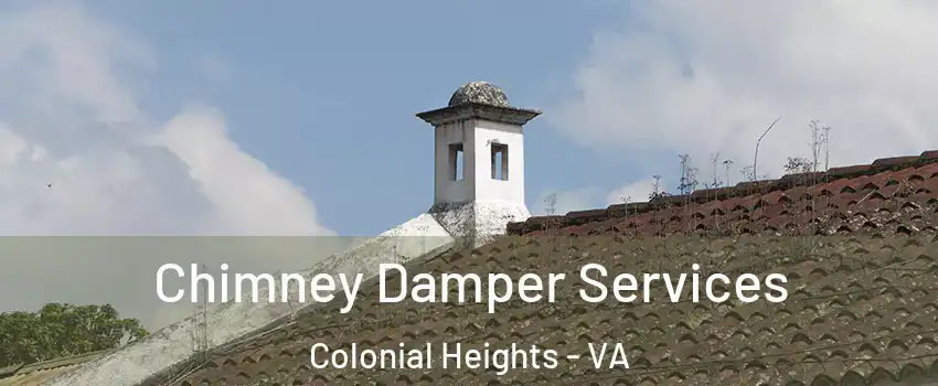  Chimney Damper Services Colonial Heights - VA