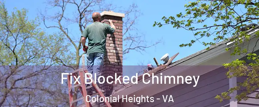  Fix Blocked Chimney Colonial Heights - VA