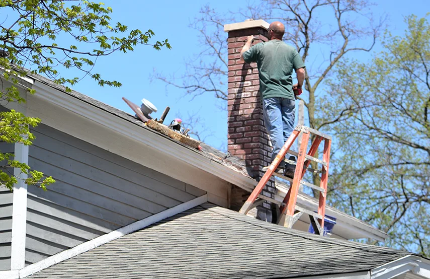 Chimney & Fireplace Inspections Services in Colonial Heights, VA