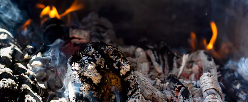 Creosote Removal Experts in Colonial Heights, VA