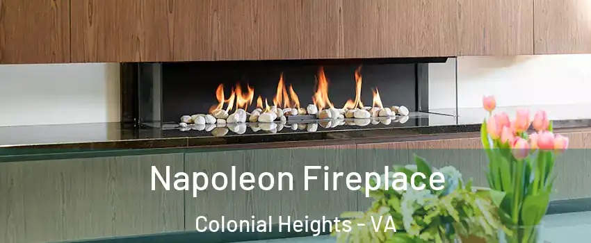  Napoleon Fireplace Colonial Heights - VA