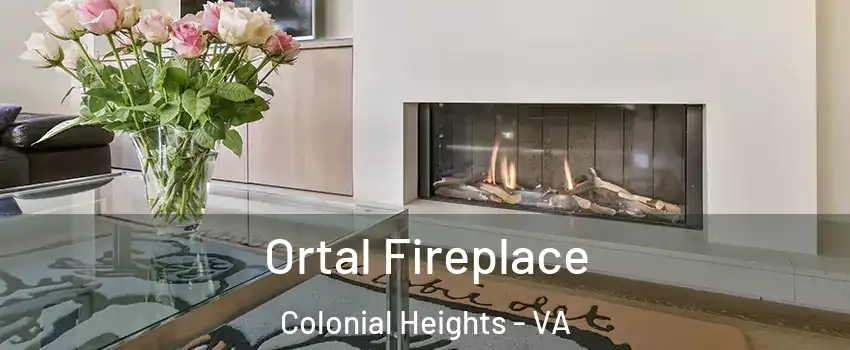  Ortal Fireplace Colonial Heights - VA